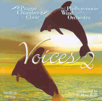 Voices #2 - klik hier