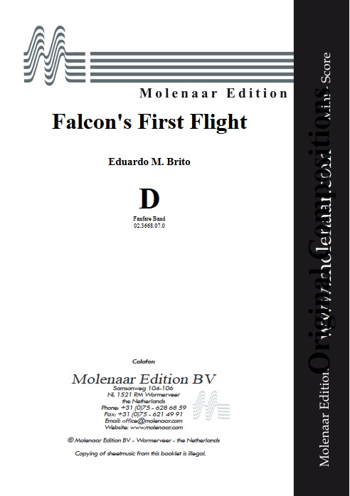 Falcon's First Flight - klik hier