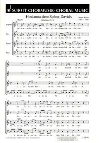 Hosianna dem Sohne Davids (Matthus 21,9) - klik hier