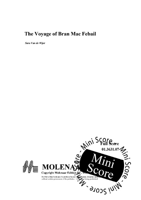 Voyage of Bran Mac Febail, The - klik hier